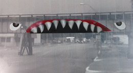 original bridge shark artwork proposal