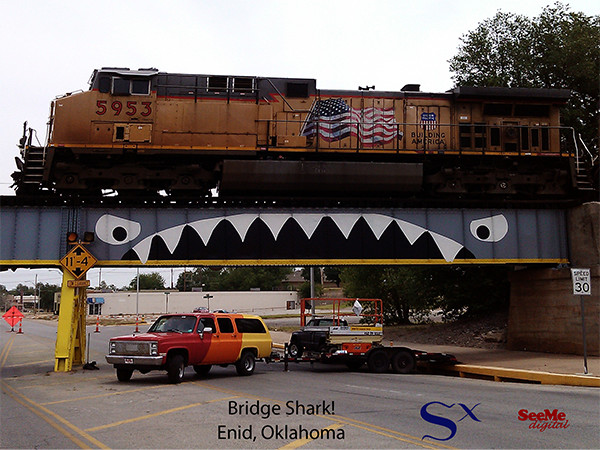 Bridge Shark with Train